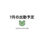 ヒメ日記 2024/06/26 20:05 投稿 日向-Hinata- Aroma Bloom（アロマブルーム）