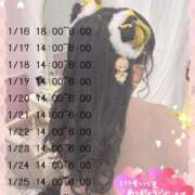 ヒメ日記 2025/01/14 06:26 投稿 さおり 広島サンキュー