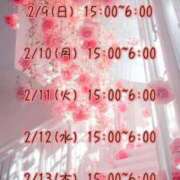 ヒメ日記 2025/02/10 03:20 投稿 さおり 広島サンキュー