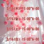 ヒメ日記 2025/02/12 05:10 投稿 さおり 広島サンキュー