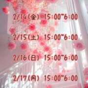 ヒメ日記 2025/02/13 05:17 投稿 さおり 広島サンキュー