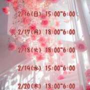 ヒメ日記 2025/02/16 05:00 投稿 さおり 広島サンキュー