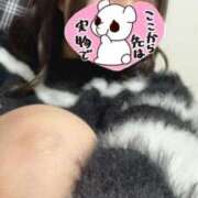 ヒメ日記 2025/02/24 15:49 投稿 ふうか サンキュー町田・相模原店