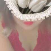 ヒメ日記 2025/08/19 14:42 投稿 るか☆ 豊橋豊川ちゃんこ