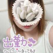 るか☆ 出勤(*ฅ́˘ฅ̀*)♡ 豊橋豊川ちゃんこ