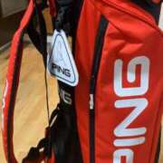 ヒメ日記 2025/03/14 04:22 投稿 本多真歩 ローテンブルク