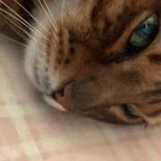 ヒメ日記 2025/03/31 14:27 投稿 本多真歩 ローテンブルク