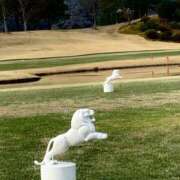 ヒメ日記 2025/04/12 16:03 投稿 本多真歩 ローテンブルク