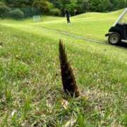 ヒメ日記 2025/05/09 22:32 投稿 本多真歩 ローテンブルク