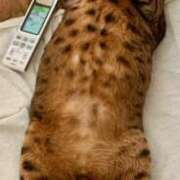 ヒメ日記 2026/03/24 20:14 投稿 本多真歩 ローテンブルク