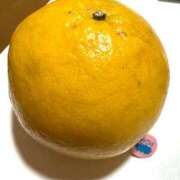 ヒメ日記 2026/03/28 12:03 投稿 本多真歩 ローテンブルク