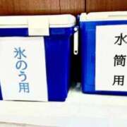 ヒメ日記 2026/05/15 04:30 投稿 本多真歩 ローテンブルク