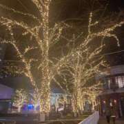 ヒメ日記 2024/12/13 09:59 投稿 花村 昼顔妻 五反田店