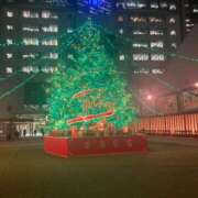 ヒメ日記 2024/12/20 09:16 投稿 花村 昼顔妻 五反田店