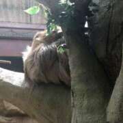 ヒメ日記 2025/01/11 09:56 投稿 花村 昼顔妻 五反田店