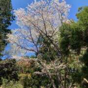 ヒメ日記 2025/03/01 09:56 投稿 花村 昼顔妻 五反田店