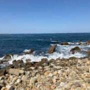 ヒメ日記 2025/04/16 09:46 投稿 花村 昼顔妻 五反田店