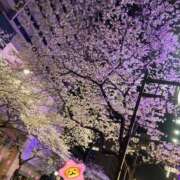 ヒメ日記 2025/04/07 17:44 投稿 はづき 神田エマニエル