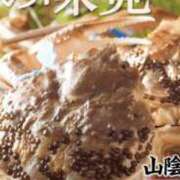 ヒメ日記 2025/11/22 13:45 投稿 れみ 熟女総本店