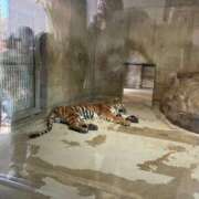 ヒメ日記 2026/03/04 09:52 投稿 れみ 熟女総本店