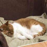 ヒメ日記 2024/12/13 12:04 投稿 しのん 熟女の風俗最終章 高崎店