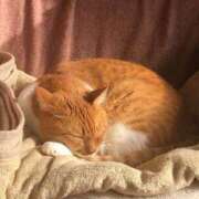 ヒメ日記 2025/01/03 13:03 投稿 しのん 熟女の風俗最終章 高崎店