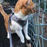 ヒメ日記 2025/02/07 16:28 投稿 しのん 熟女の風俗最終章 高崎店