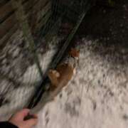 ヒメ日記 2025/02/08 13:06 投稿 しのん 熟女の風俗最終章 高崎店