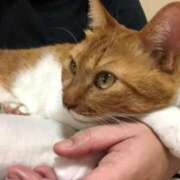 ヒメ日記 2025/02/22 13:13 投稿 しのん 熟女の風俗最終章 高崎店