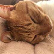 ヒメ日記 2025/03/01 14:48 投稿 しのん 熟女の風俗最終章 高崎店