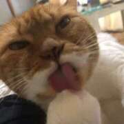 ヒメ日記 2025/03/10 21:28 投稿 しのん 熟女の風俗最終章 高崎店