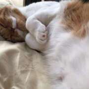 ヒメ日記 2025/03/14 16:28 投稿 しのん 熟女の風俗最終章 高崎店