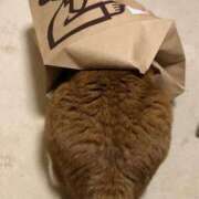 ヒメ日記 2025/03/17 17:02 投稿 しのん 熟女の風俗最終章 高崎店