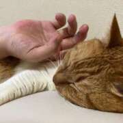 ヒメ日記 2025/05/22 14:58 投稿 しのん 熟女の風俗最終章 高崎店