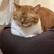 ヒメ日記 2025/06/05 18:28 投稿 しのん 熟女の風俗最終章 高崎店