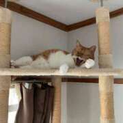 ヒメ日記 2025/08/10 12:18 投稿 しのん 熟女の風俗最終章 高崎店