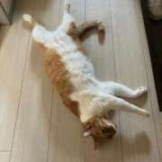 しのん 涼しい 熟女の風俗最終章 高崎店