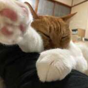 しのん 一緒に 熟女の風俗最終章 高崎店