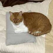 しのん とられた… 熟女の風俗最終章 高崎店