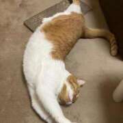 ヒメ日記 2026/01/29 13:28 投稿 しのん 熟女の風俗最終章 高崎店