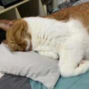 ヒメ日記 2026/02/13 14:28 投稿 しのん 熟女の風俗最終章 高崎店