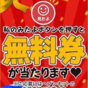 ヒメ日記 2023/11/29 19:21 投稿 はるき プラチナ