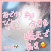 ヒメ日記 2025/06/29 12:08 投稿 ノ　ア びしょぬれ潮吹秘書