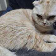 ヒメ日記 2025/04/16 14:05 投稿 りつ 熟女の風俗最終章 池袋店