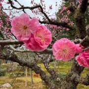 ヒメ日記 2026/03/24 17:18 投稿 雪野 モアグループ春日部人妻城