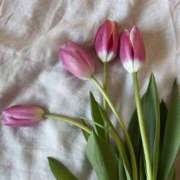 ヒメ日記 2026/01/30 09:43 投稿 はるの 東京人妻セレブリティ（ユメオト）