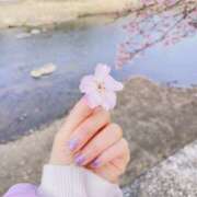 ヒメ日記 2026/04/02 09:50 投稿 はるの 東京人妻セレブリティ（ユメオト）