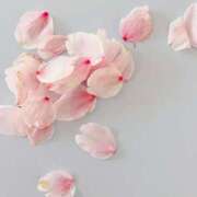 ヒメ日記 2026/04/07 10:28 投稿 はるの 東京人妻セレブリティ（ユメオト）