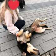 ヒメ日記 2026/01/18 00:08 投稿 えれな 静岡♂風俗の神様 静岡店