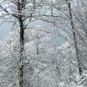 ヒメ日記 2024/12/27 08:24 投稿 今永ひろこ 横浜プロダクション
